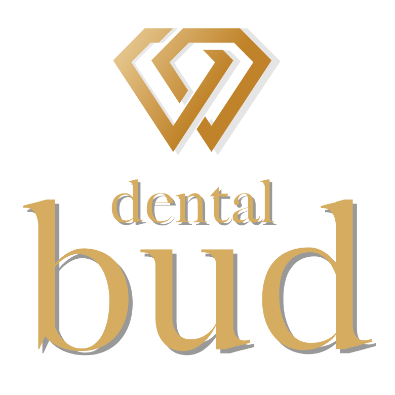 Dental Bud